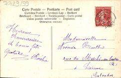 Flores de la fantasía de la POSTAL de la VENDIMIA