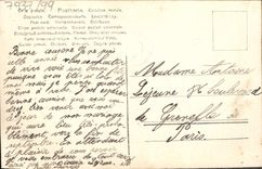 Flores de la fantasía de la POSTAL de la VENDIMIA