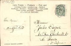 Flores de la fantasía de la POSTAL de la VENDIMIA