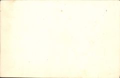 Flores de la fantasía de la POSTAL de la VENDIMIA