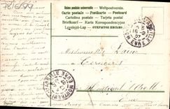 Flores de la fantasía de la POSTAL de la VENDIMIA