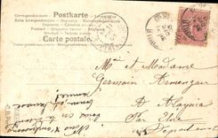 Flores de la fantasía de la POSTAL de la VENDIMIA