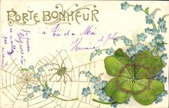 VINTAGE POSTCARD Fantasy Flowers Spider Clover Insect