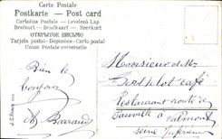 Flores de la fantasía de la POSTAL de la VENDIMIA