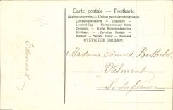 Flores de la fantasía de la POSTAL de la VENDIMIA