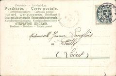 Flores de la fantasía de la POSTAL de la VENDIMIA