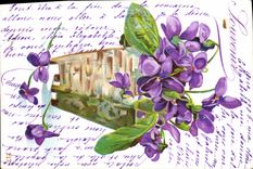 Flores de la fantasía de la POSTAL de la VENDIMIA