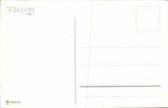 Flores de la fantasía de la POSTAL de la VENDIMIA