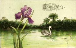 La fantasía de la POSTAL de la VENDIMIA florece el cisne