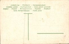 Flores de la fantasía de la POSTAL de la VENDIMIA