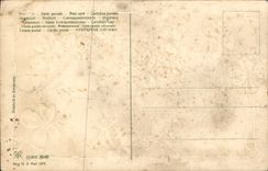 La fantasía de la POSTAL de la VENDIMIA florece el trébol