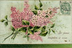 Flores de la fantasía de la POSTAL de la VENDIMIA