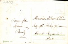 Flores de la fantasía de la POSTAL de la VENDIMIA