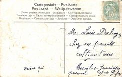 Flores de la fantasía de la POSTAL de la VENDIMIA