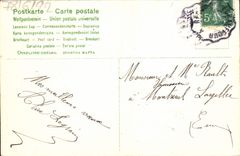 La fantasía de la POSTAL de la VENDIMIA florece la mariposa