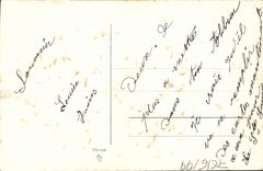 Flores de la fantasía de la POSTAL de la VENDIMIA