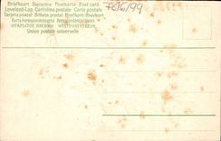 VINTAGE POSTCARD Fantasy Flowers