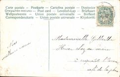 VINTAGE POSTCARD Fantasy Flowers