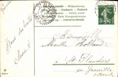 VINTAGE POSTCARD Fantasy Flowers Vine