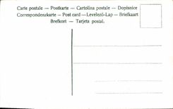 CPA Fantaisie Fleurs Corne d'abondance