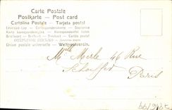 VINTAGE POSTCARD Fantasy Flowers Clover