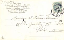 VINTAGE POSTCARD Fantasy Flowers Swallows