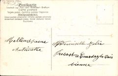 La fantasía de la POSTAL de la VENDIMIA florece la decoración plateada plata