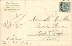 VINTAGE POSTCARD Fantasy Flowers