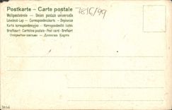 CPA Fantaisie Fleurs Feuilles