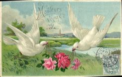 VINTAGE POSTCARD Fantasy Flowers Doves