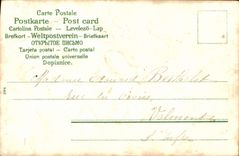 VINTAGE POSTCARD Fantasy Flowers