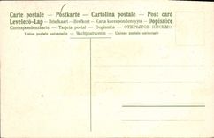 VINTAGE POSTCARD Fantasy Flowers Vine