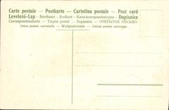 VINTAGE POSTCARD Fantasy Flowers Vine