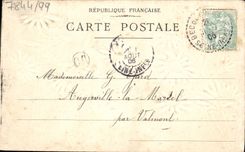 CPA Fantaisie Fleurs Paquerettes