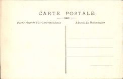 VINTAGE POSTCARD Fantaisie Flowers Splashes Swan Swallow