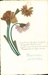VINTAGE POSTCARD Fantasy Flowers sechees
