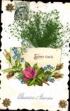 VINTAGE POSTCARD Fantasy Flowers