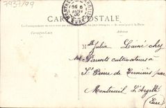 VINTAGE POSTCARD Fantasy Flowers