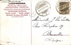 VINTAGE POSTCARD Fantasy Flowers Car Dove