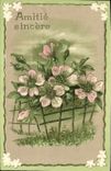 VINTAGE POSTCARD Fantasy Flowers