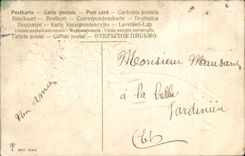 VINTAGE POSTCARD Fantasy Flowers Hand