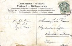 VINTAGE POSTCARD Fantasy Flowers Dove