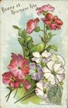 VINTAGE POSTCARD Fantasy Flowers