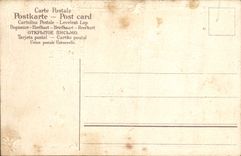 VINTAGE POSTCARD Fantasy Flowers