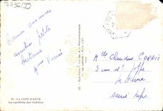 MODERN CARD the Dimension of Azure the Gathering Of the Violets