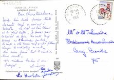 MODERN CARD Field Of Lavender Lavender Field