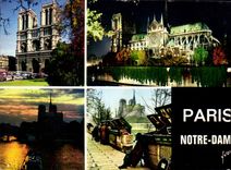 MODERN CARD Paris Notre Dame Secondhand bookseller