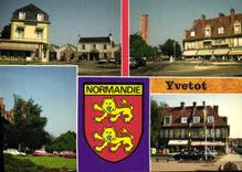 MODERN CARD Yvetot Seen Various Lion