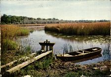 CPM En Sologne L'etang