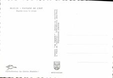 CPM Paysage De Lest Sapins sous la neige